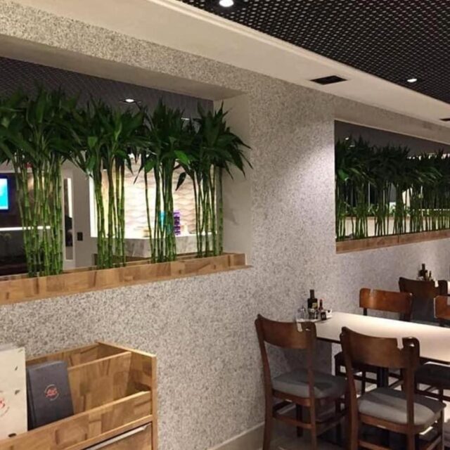 WhatsApp Image 2023-01-18 at 07.19.20